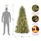 6.5 Ft. Pre-Lit Feel Real® Tiffany Fir Slim Artificial Christmas Tree, Clear Lights